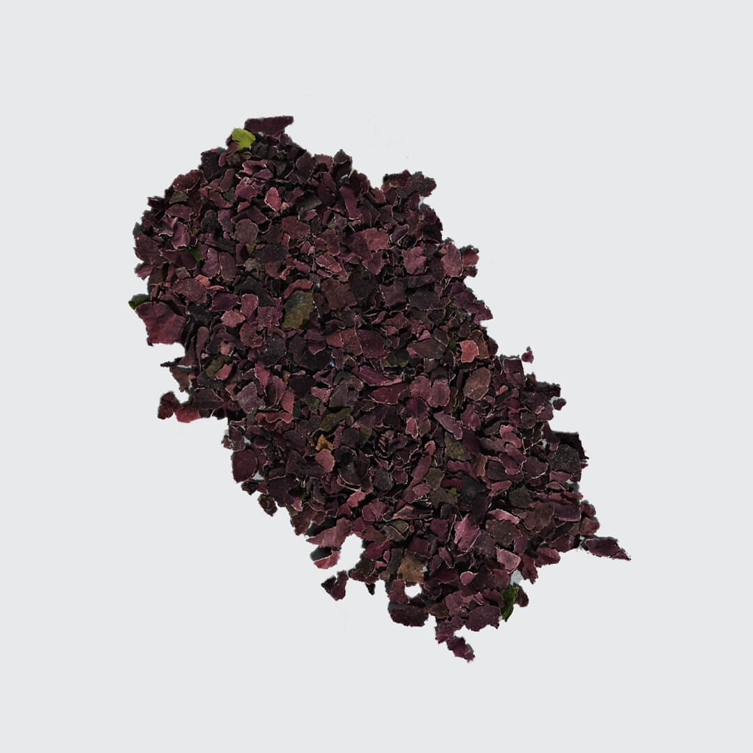 Kelp ingredient - Nuzest