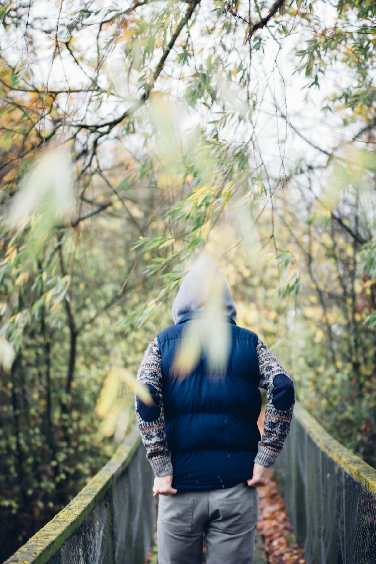 Supporting Your Immunity during Seasonal Changes - Nuzest UK