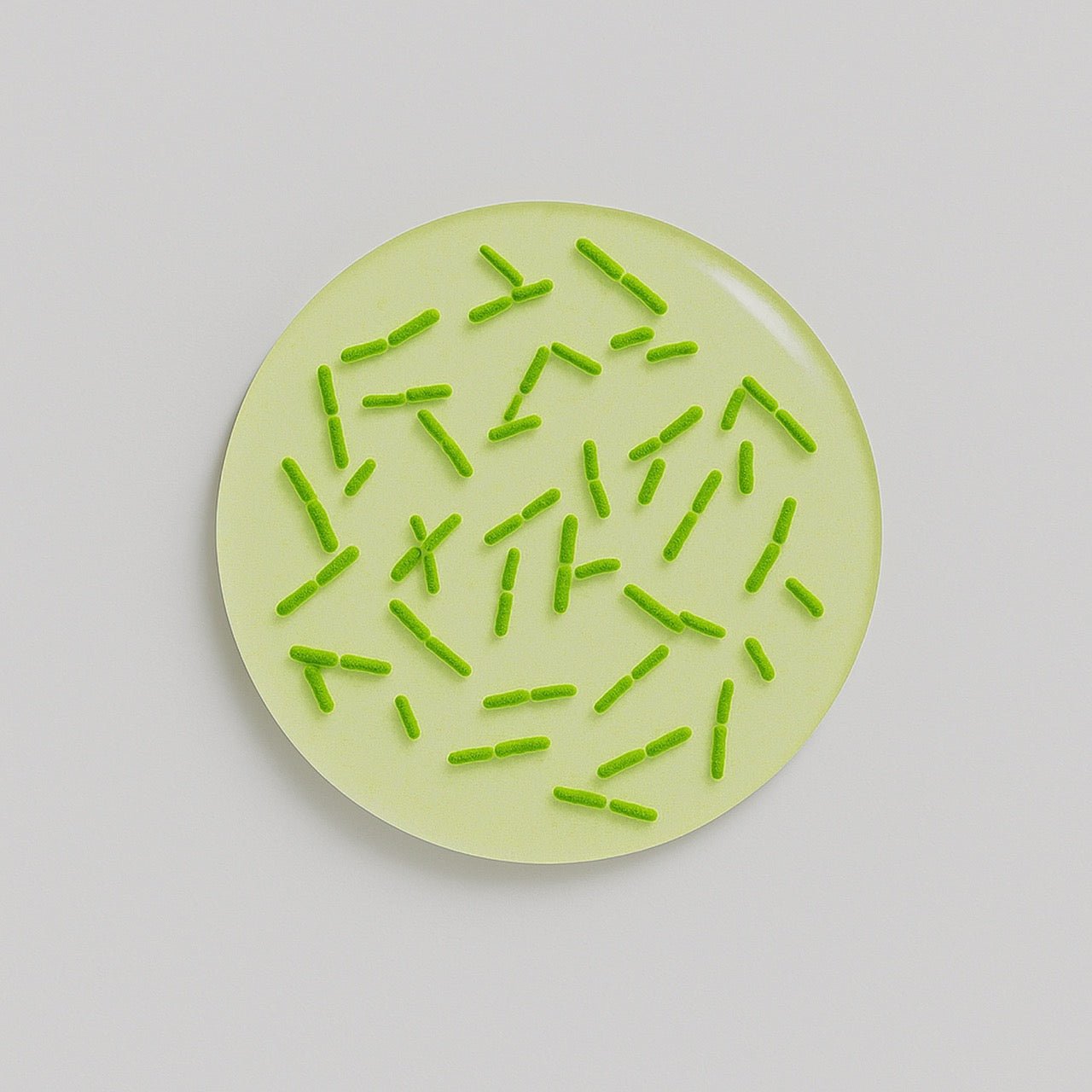 Bifidobacterium bifidum - Nuzest UK