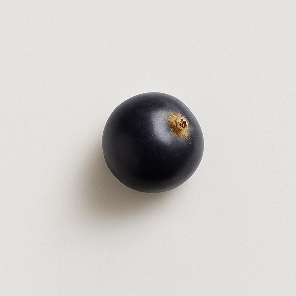 Blackcurrant - Nuzest UK