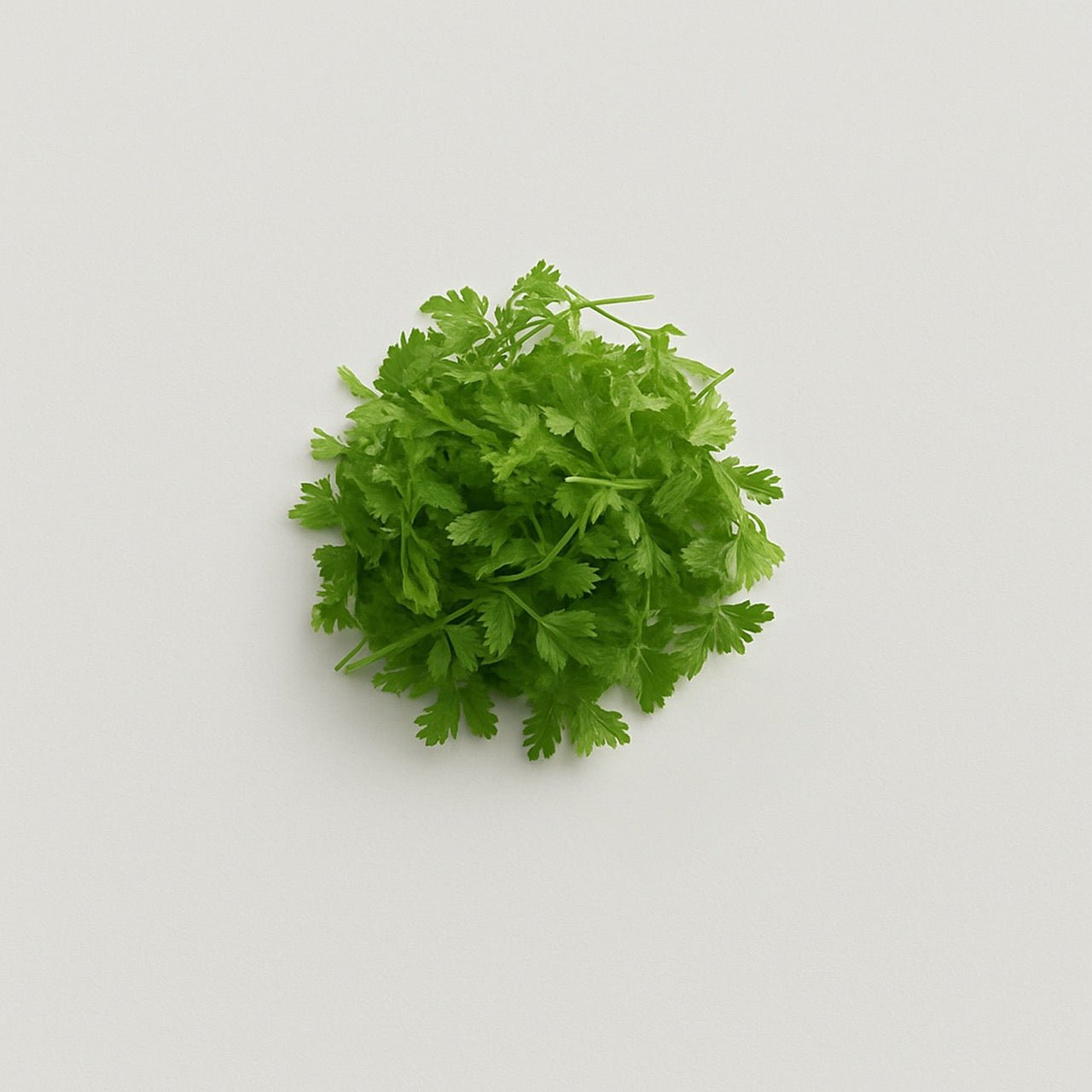 Chervil - Nuzest UK