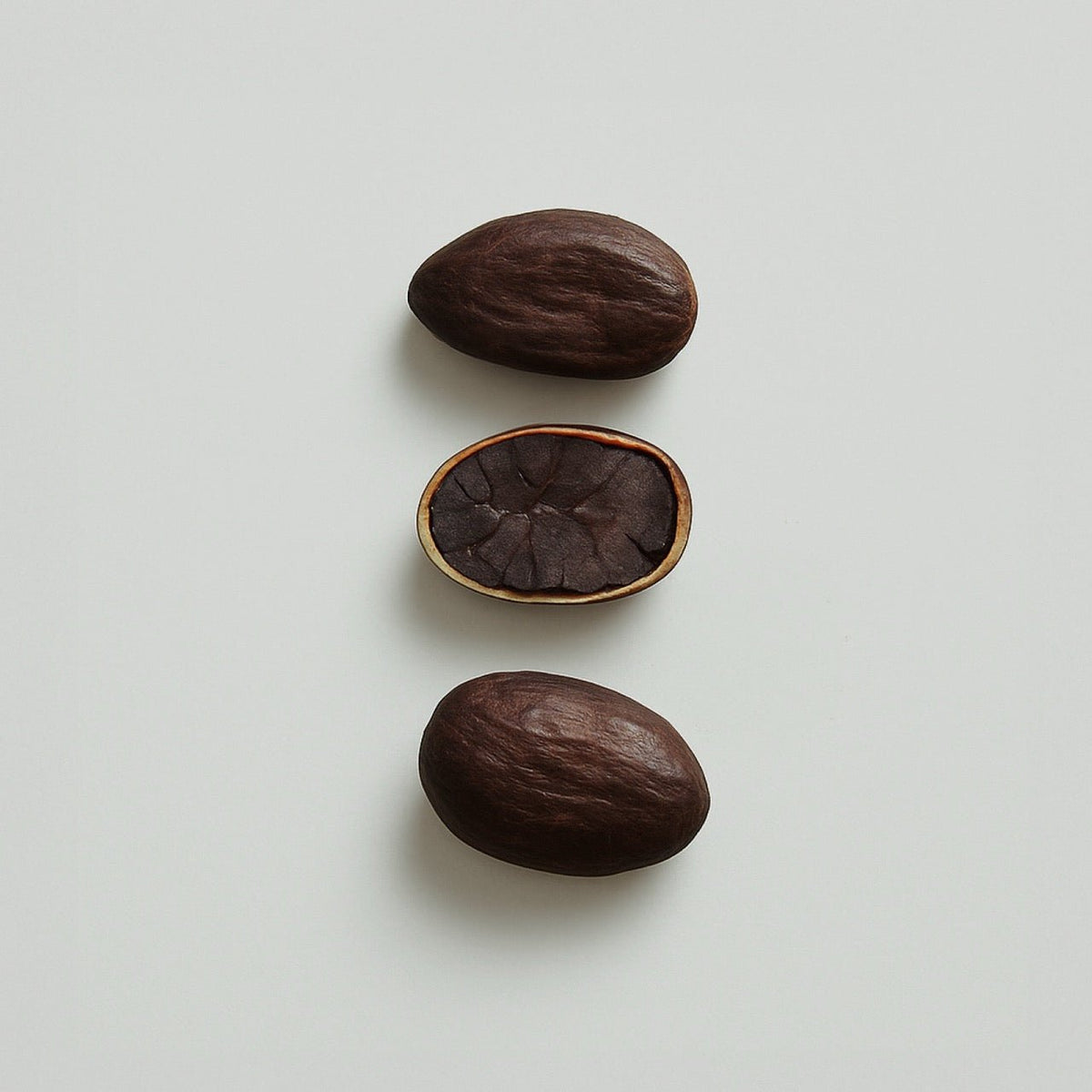 Cocoa Bean Polyphenol - Nuzest UK