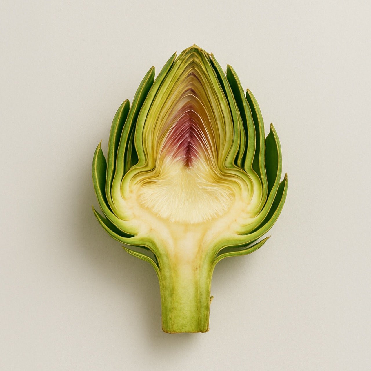 Globe Artichoke - Nuzest UK