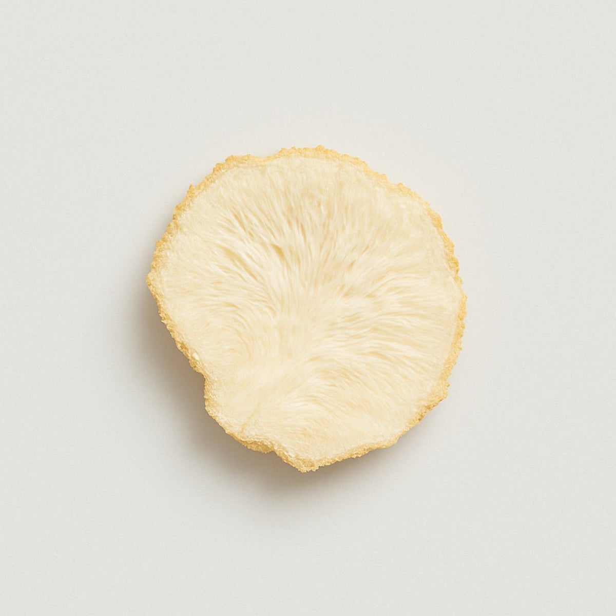 Lion's mane - Nuzest UK
