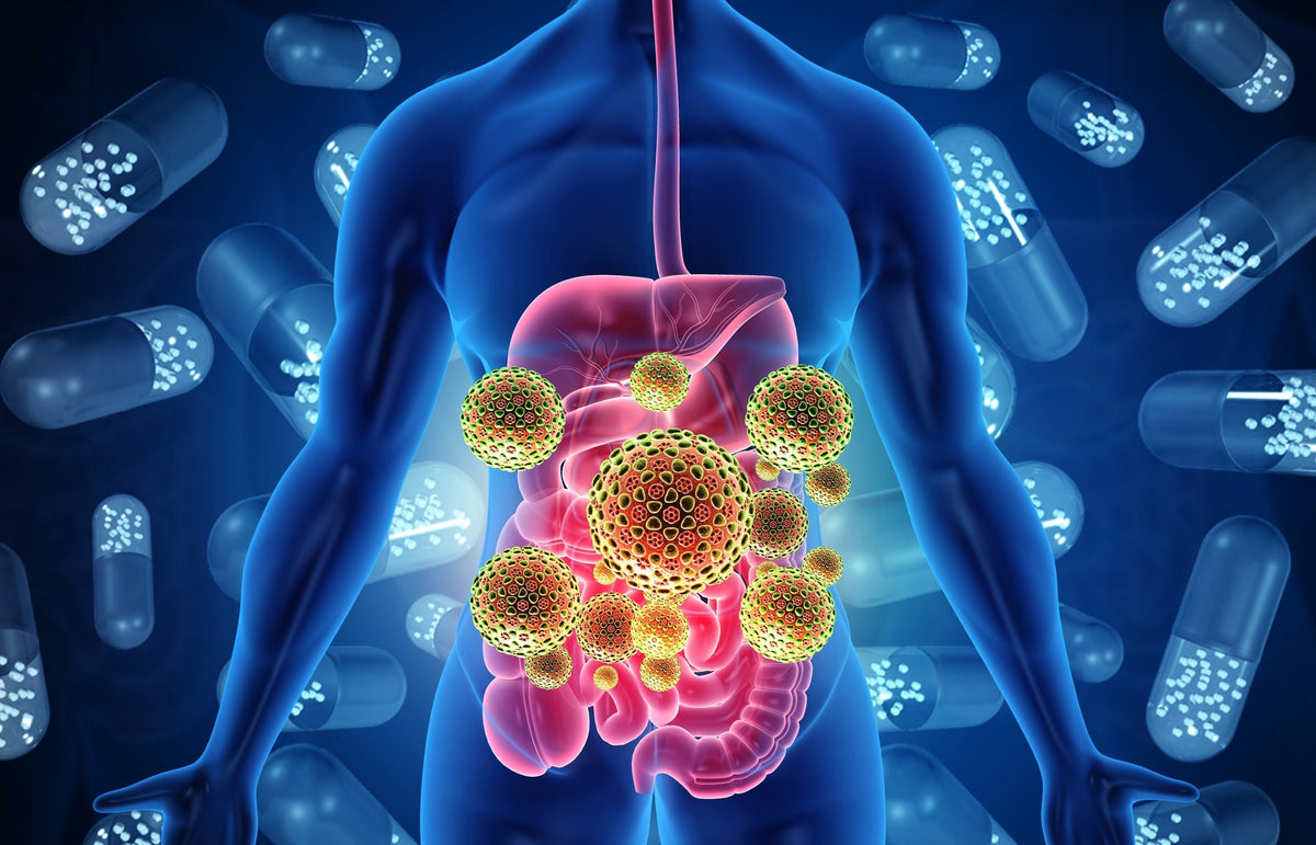 Probiotics vs. Prebiotics - Nuzest UK